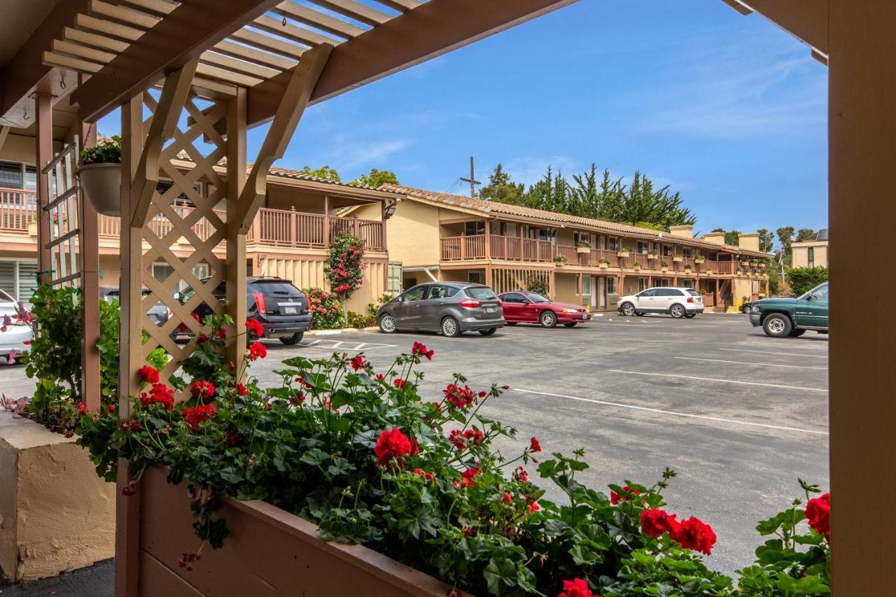 Mini-hôtel Rodeway Near Downtown 3*